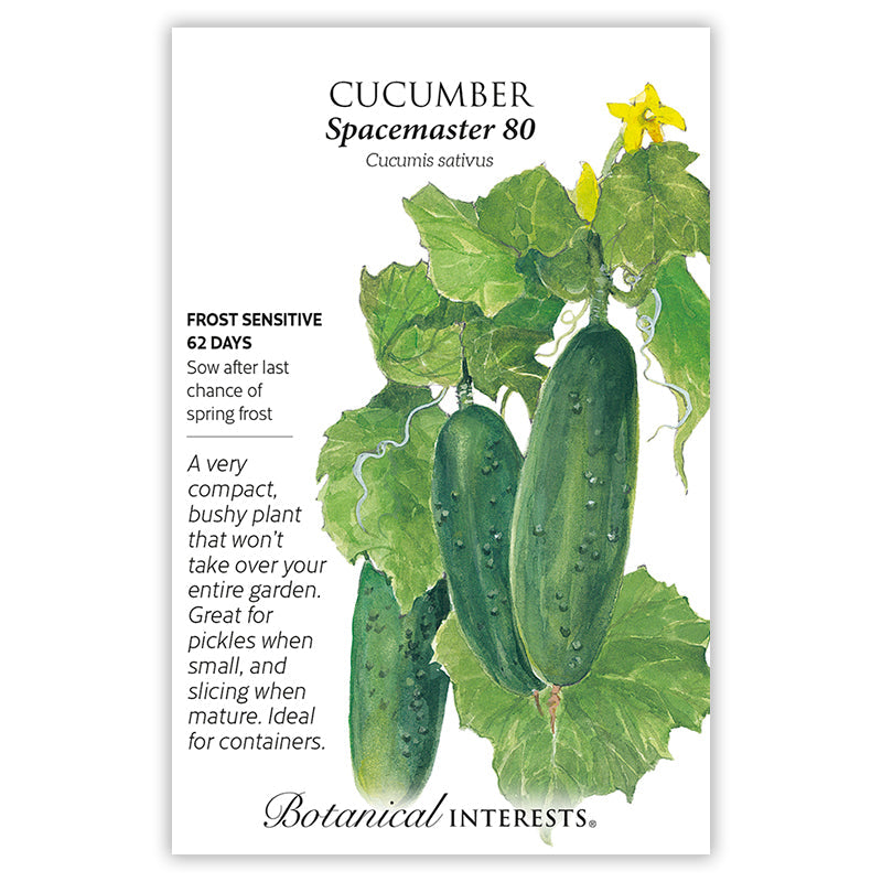 BI Seed, Cucumber Spacemaster 80