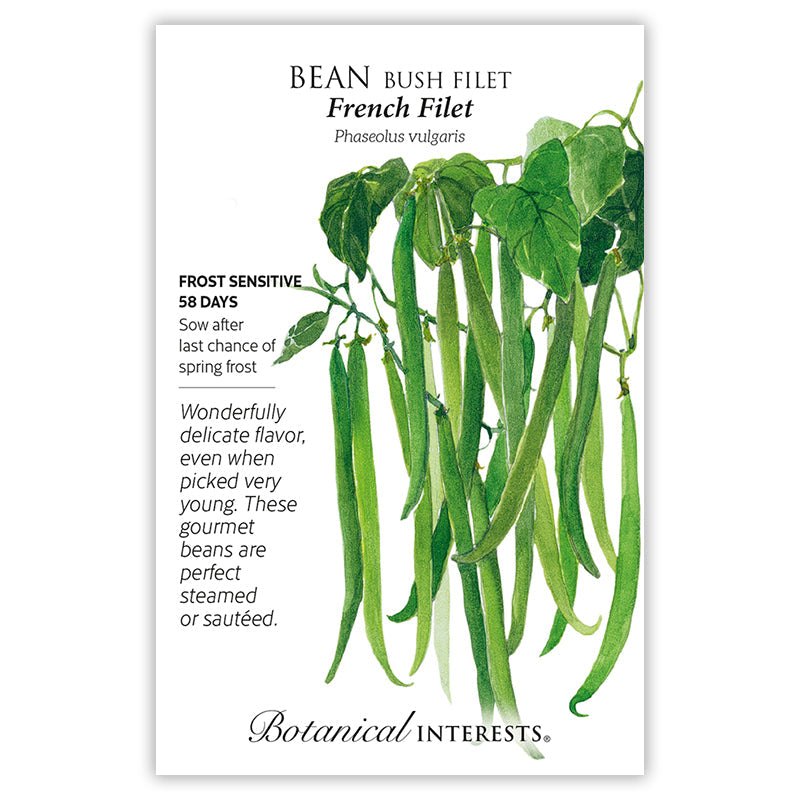BI Seed, Bean Bush French Filet