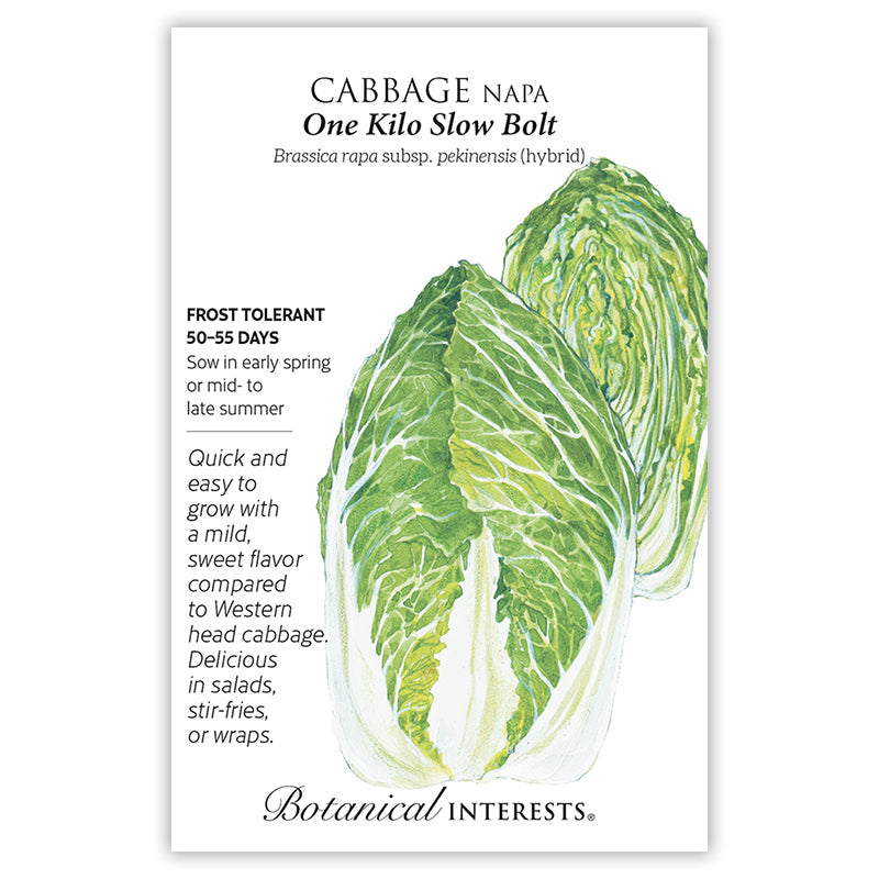 BI Seed, Cabbage One Kilo Slow Bolt Napa