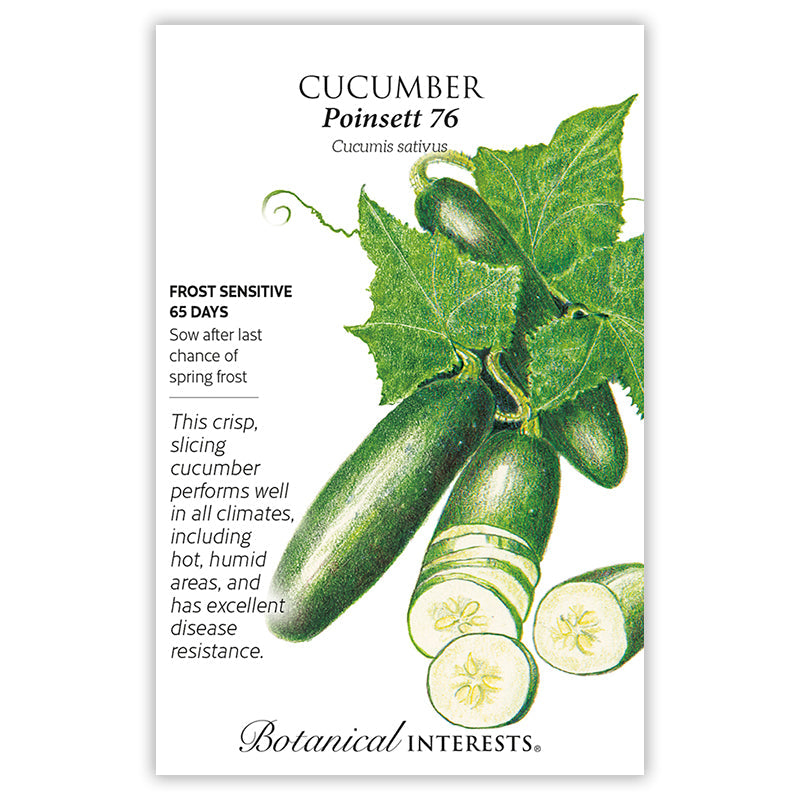 BI Seed, Cucumber Poinsett 76