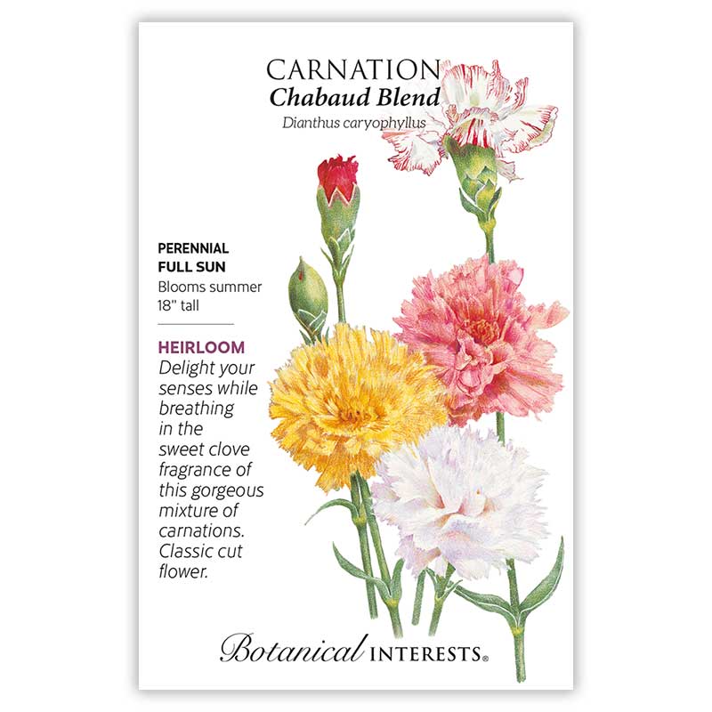 BI Seed, Carnation Chabaud Blend