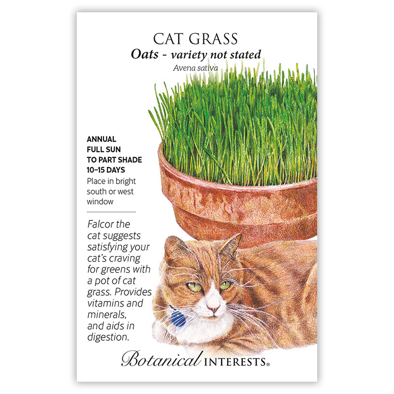BI Seed, Cat Grass