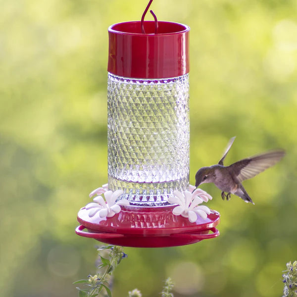 Small Glass Hummingbird Feeder