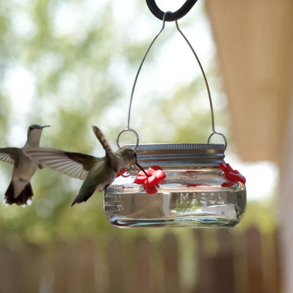 6oz mason jar hummingbird feeder