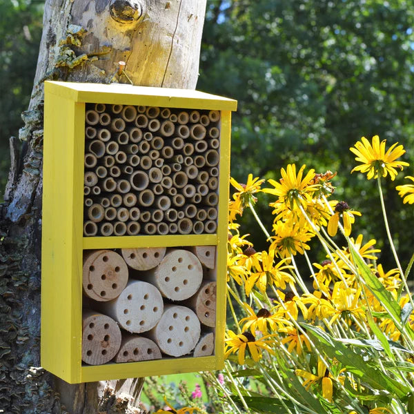 Large beautiful pollinator and beneficial insect house