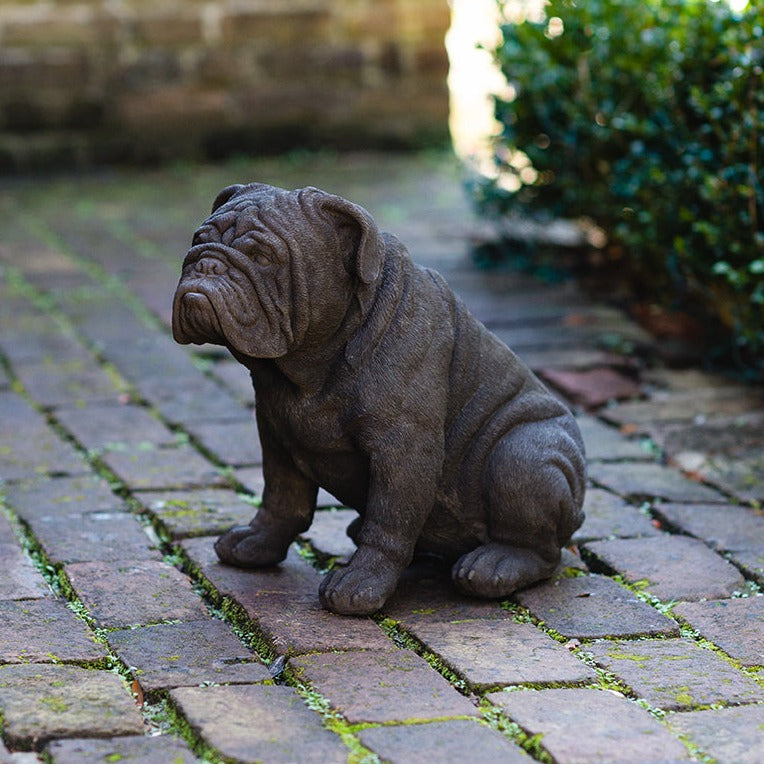 Statuary Bulldog