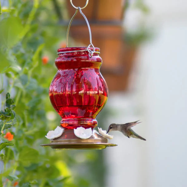 Hummingbird Feeder Red Glass