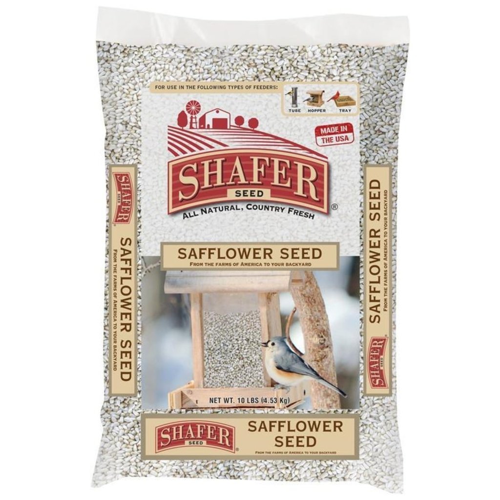 Safflower seed is great for Cardinals and squirrels don't like it!
