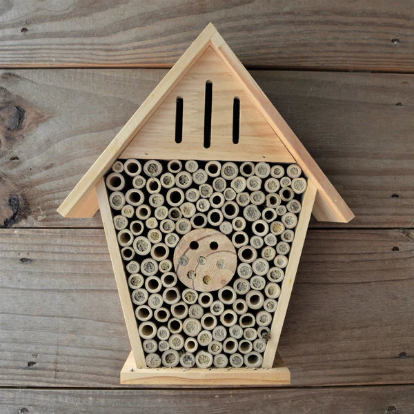 Amazing insect house for bees, ladybugs, butterflies and more