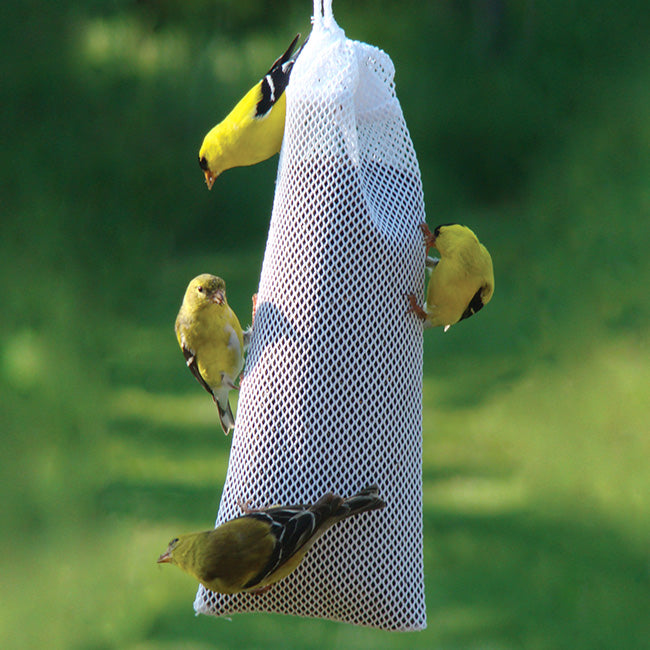 Thistle sack great for Finches and More