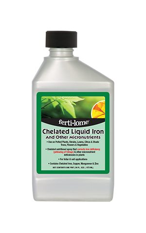 Liquid Iron great for Boxwoods, Citrus, Flowers and Vegetables