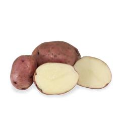 Pontiac Red Potatoes