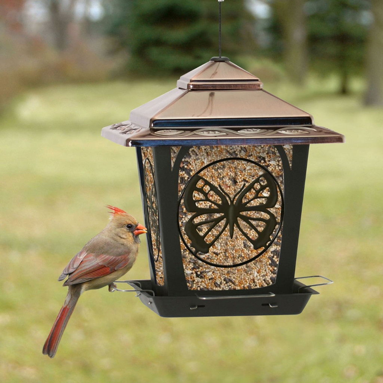 Large Hopper Metal Feeder with Butterfly Audubon