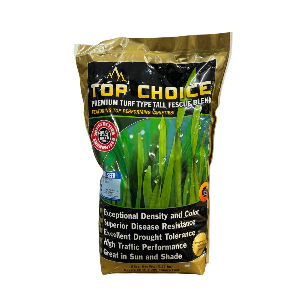 Top Choice Turf Type Tall Fescue
