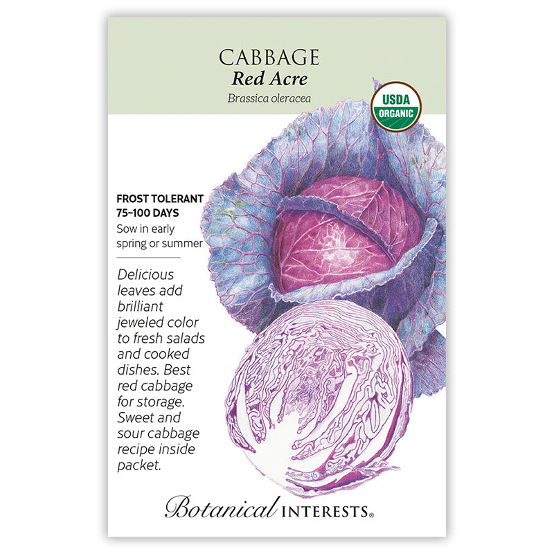 BI Seed, Cabbage Red Acre Organic