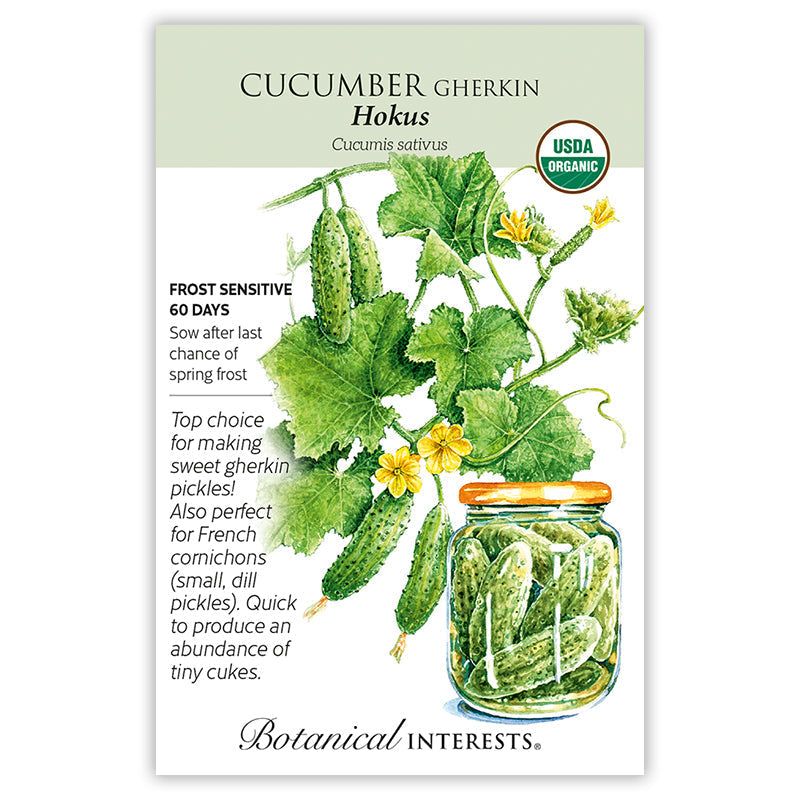 BI Seed, Cucumber Gherkin Hokus Organic