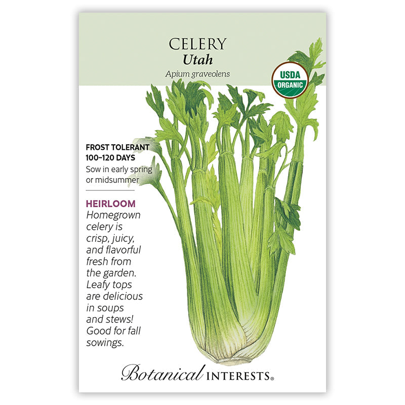 BI Seed, Celery Utah Organic