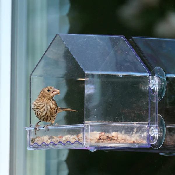 Nature's Way Clear View Window Feeder