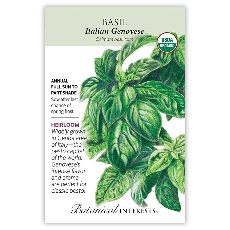 BI Seed, Basil Italian Genovese Organic