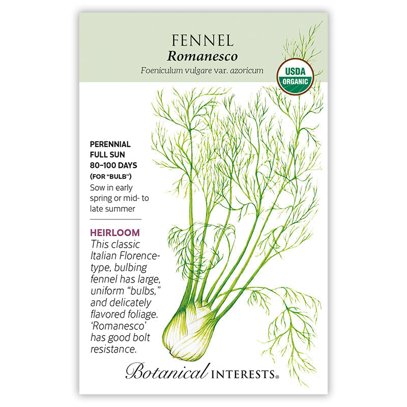 BI Seed, Fennel Romanesco Organic
