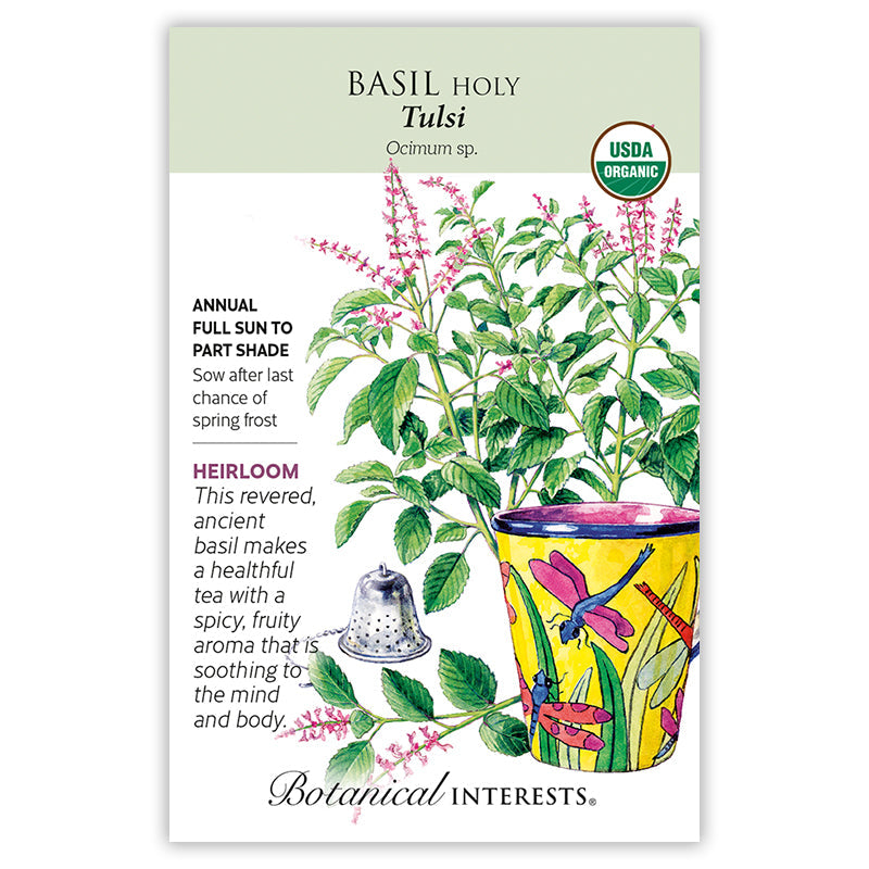 BI Seed, Basil Holy Tulsi Organic