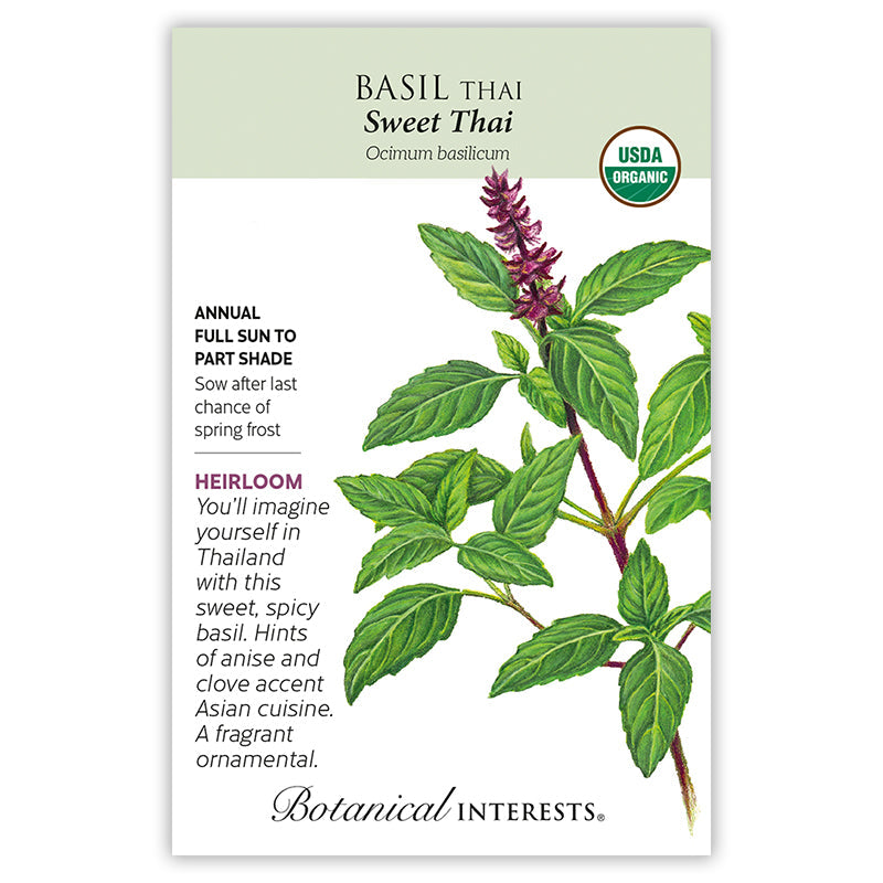 BI Seed, Basil Sweet Thai Organic