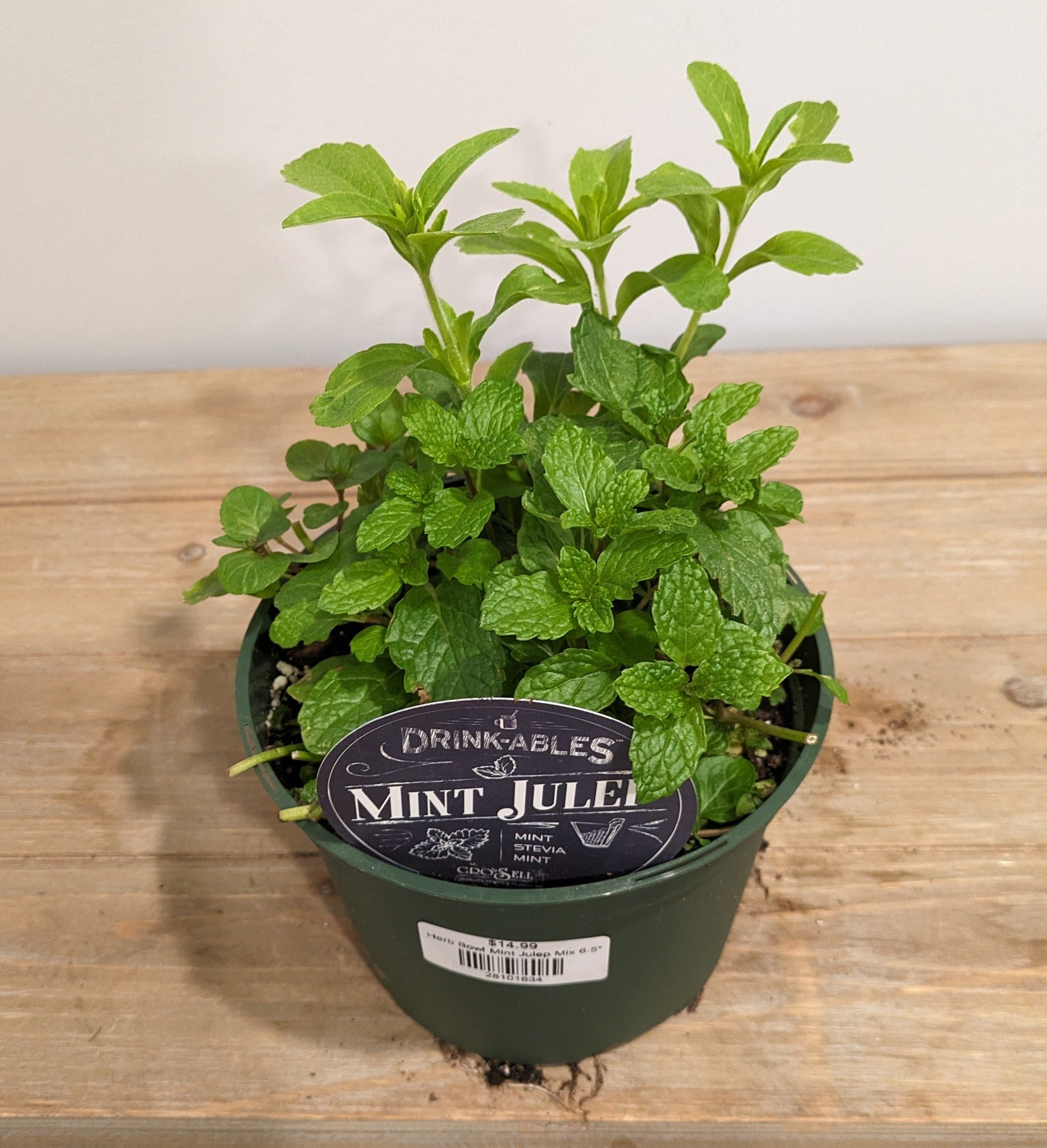 Herb Bowl Mint Julep Mix 6.5