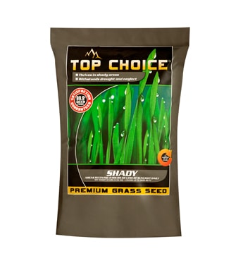 Top Choice Shady Fescue Grass Seed