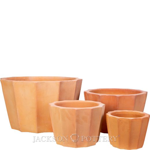 TC Carnival Vaso Planter