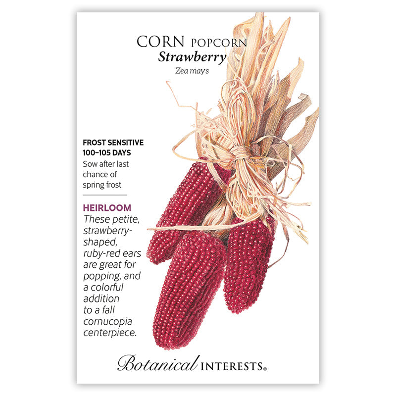 BI Seed, Corn Popcorn Strawberry