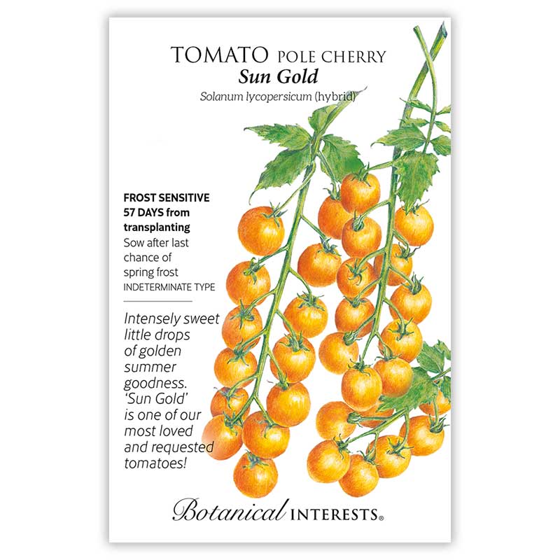BI Seed, Tomato Pole Cherry Sun Gold