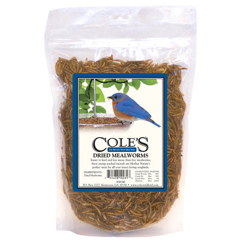 Dried mealworms from Cole's. Great for Bluebirds