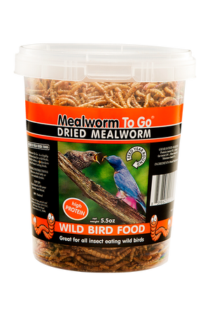 Dried mealworms great for bluebirds
