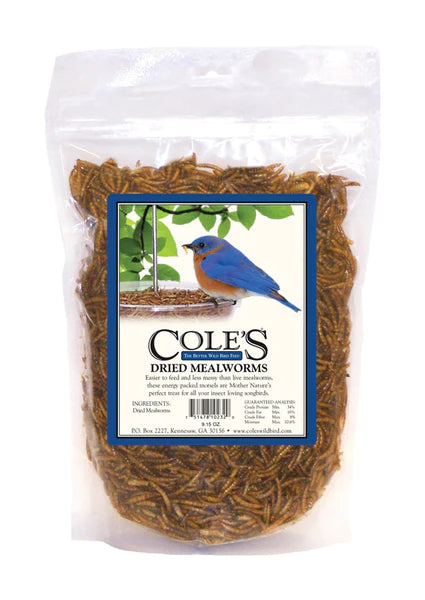 Cole's Dried Mealworms great for Bluebirds