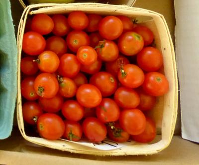 SE Seed, Old Fashioned Red Cherry Tomato