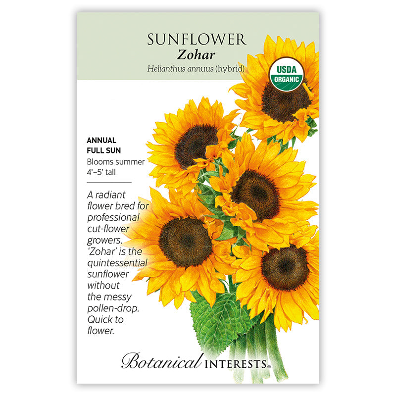 BI Seed, Sunflower Zohar Organic
