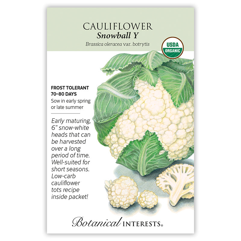 BI Seed, Cauliflower Snowball Y Organic