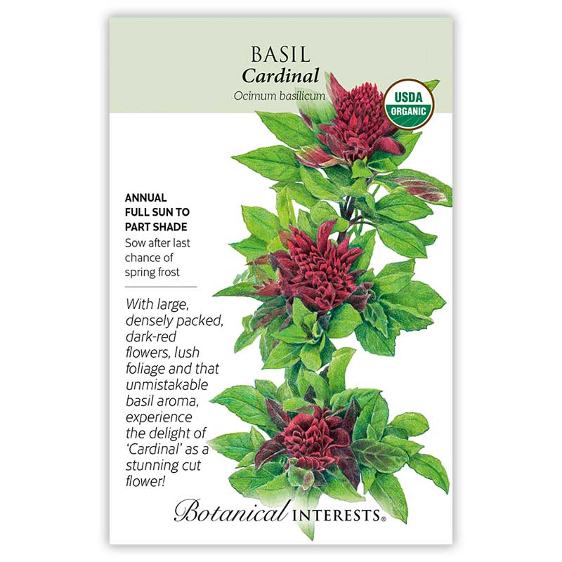 BI Seed, Basil Cardinal Organic