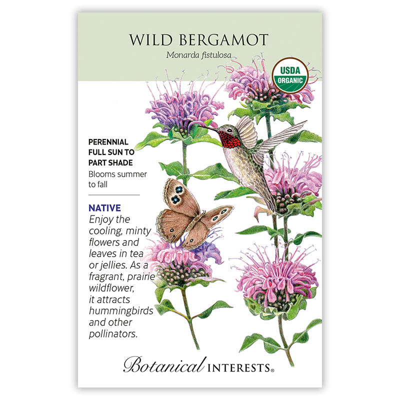 BI Seed, Bergamot Wild