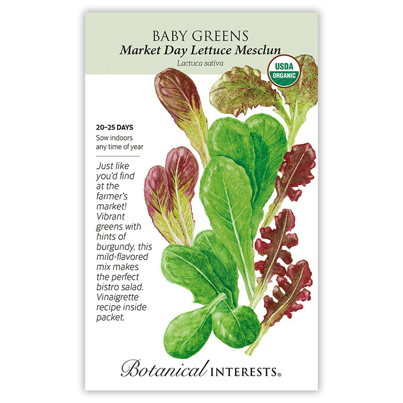 BI Seed, Baby Greens Lettuce Market Day Organic