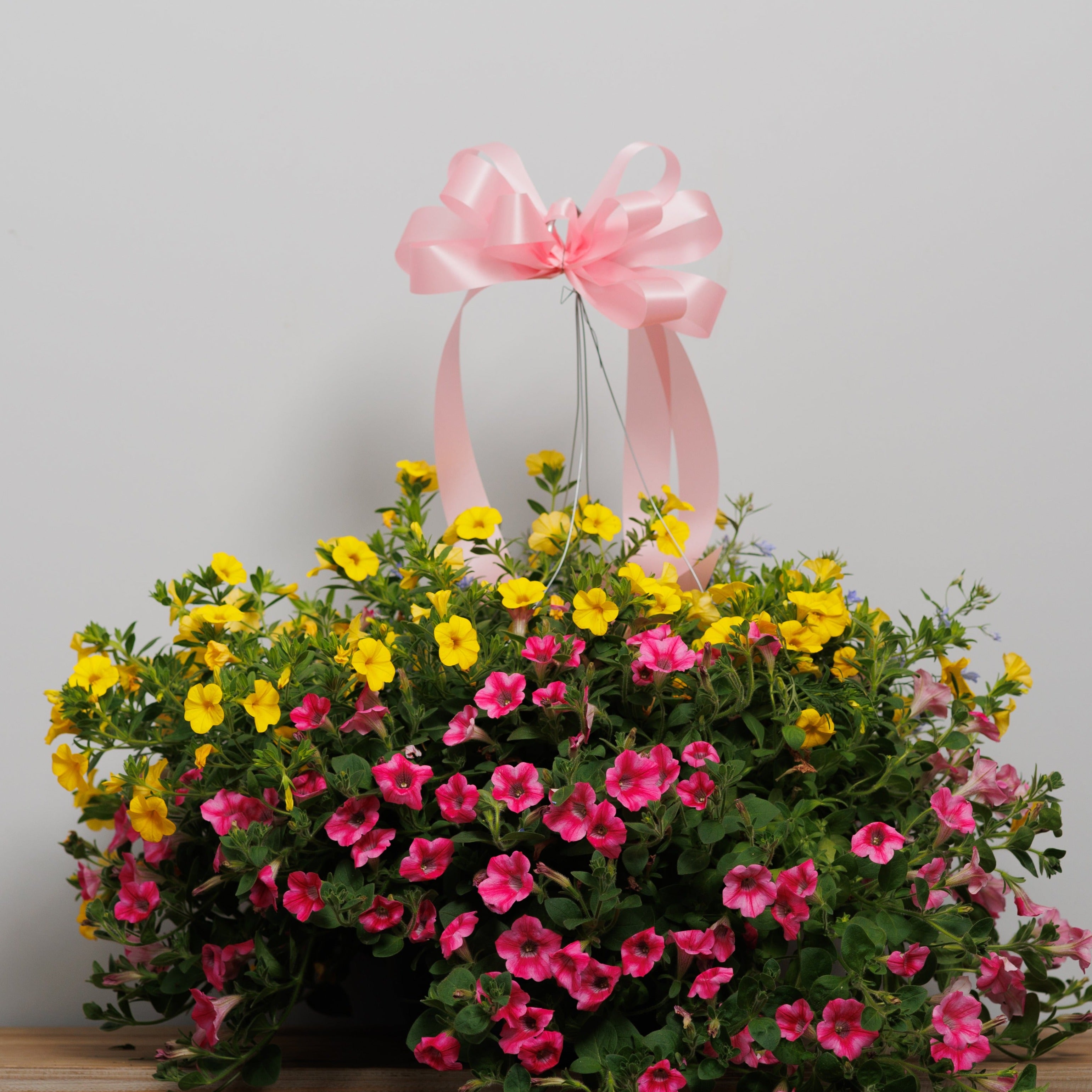 A pink and yellow blooming basket.