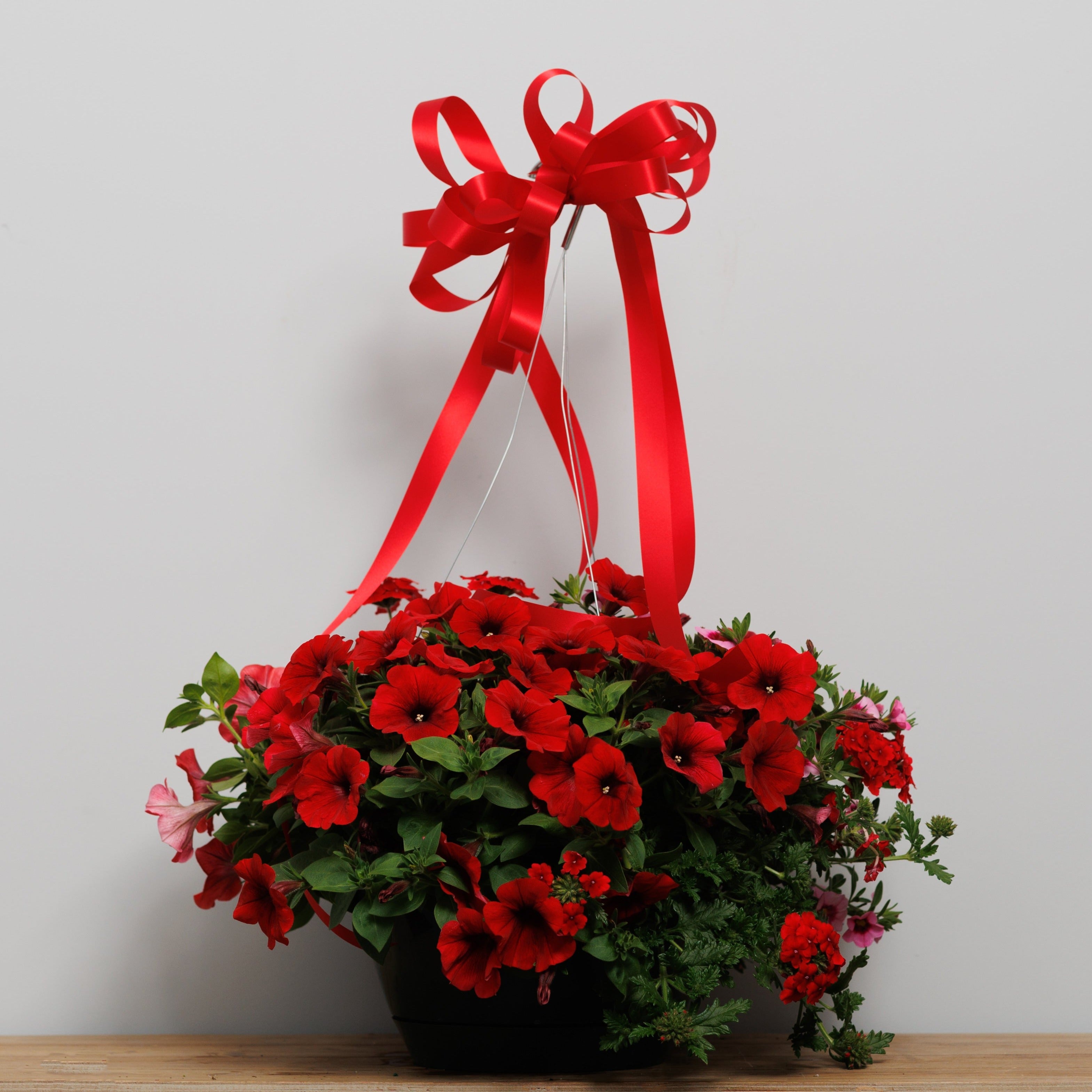 A red blooming hanging basket.