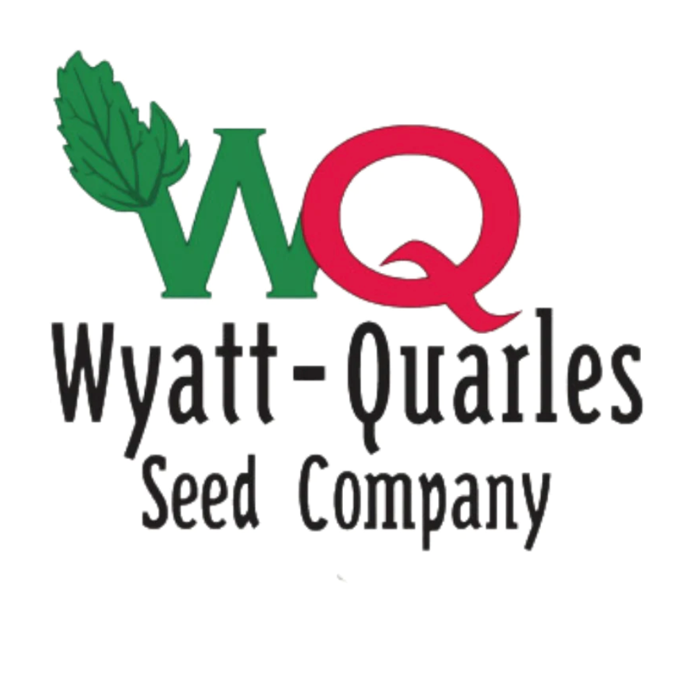 WQ Seed, Cantaloupe Hales Best Jumbo 1/16 oz